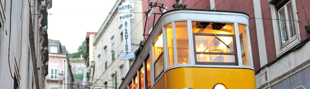 Tesis – Summer School 2012